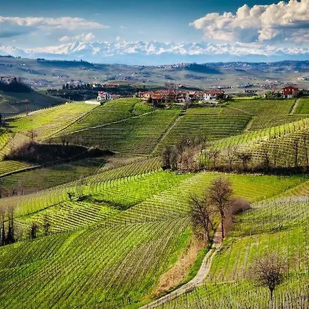 Casa Di Monforte * Monforte dʼAlba